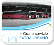 Linea Bus 231 foto
